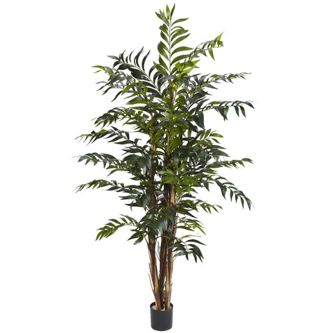 5' Bamboo Palm Silk Tree