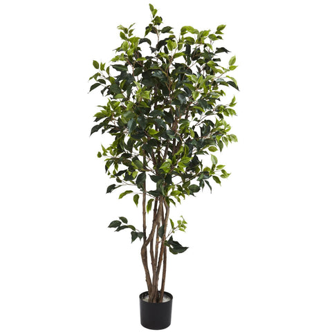 5' Ficus Bushy Silk Tree