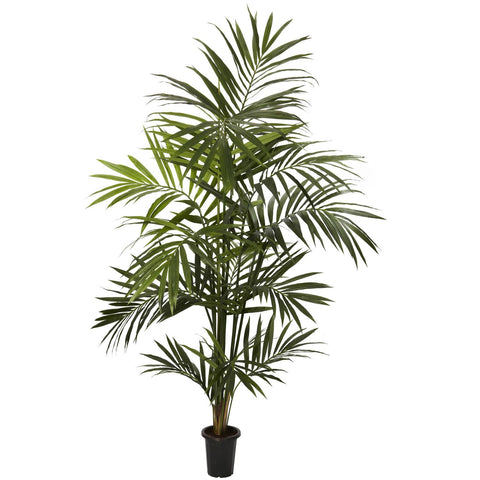 7' Kentia Palm Silk Tree