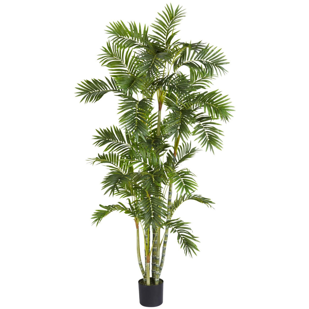 6' Areca Palm Silk Tree