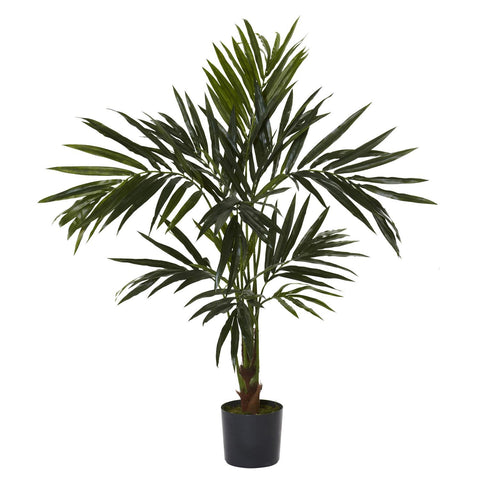 5' Kentia Silk Tree