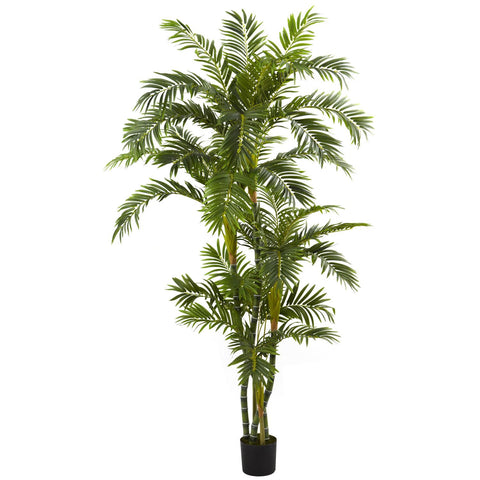 6' Curvy Parlor Palm Silk Tree