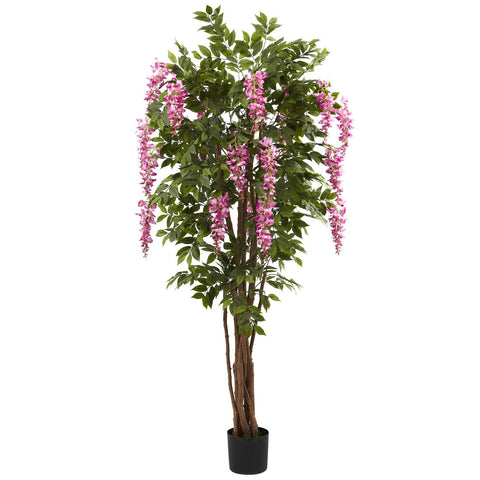 6.5' Wisteria Silk Tree