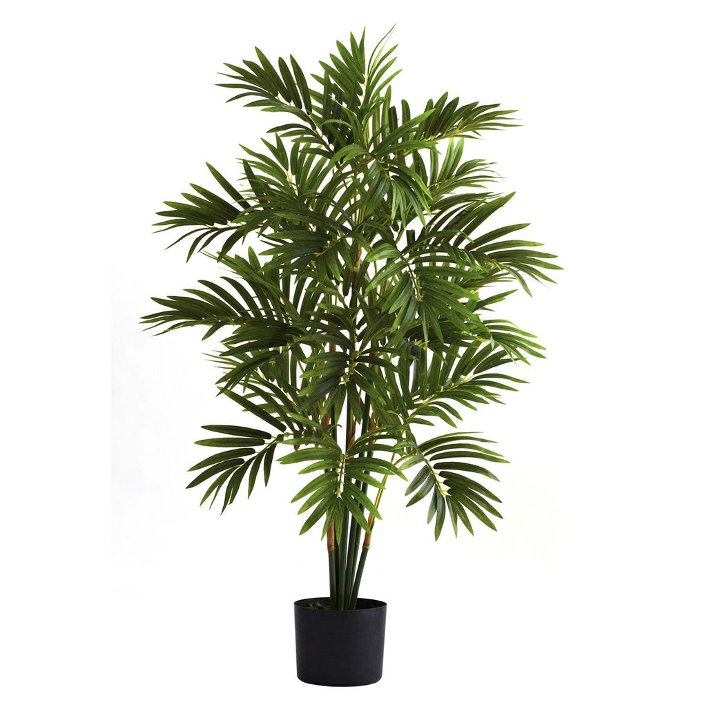 3' Areca Palm Tree