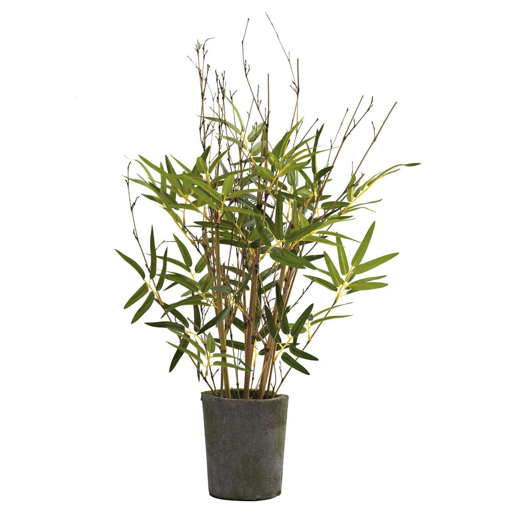 27" Bamboo Tree w-Cement Pot