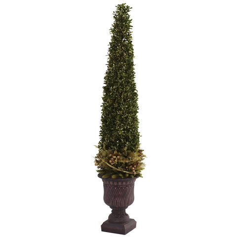 Mixed Golden Boxwood & Holly Topiary w-Urn