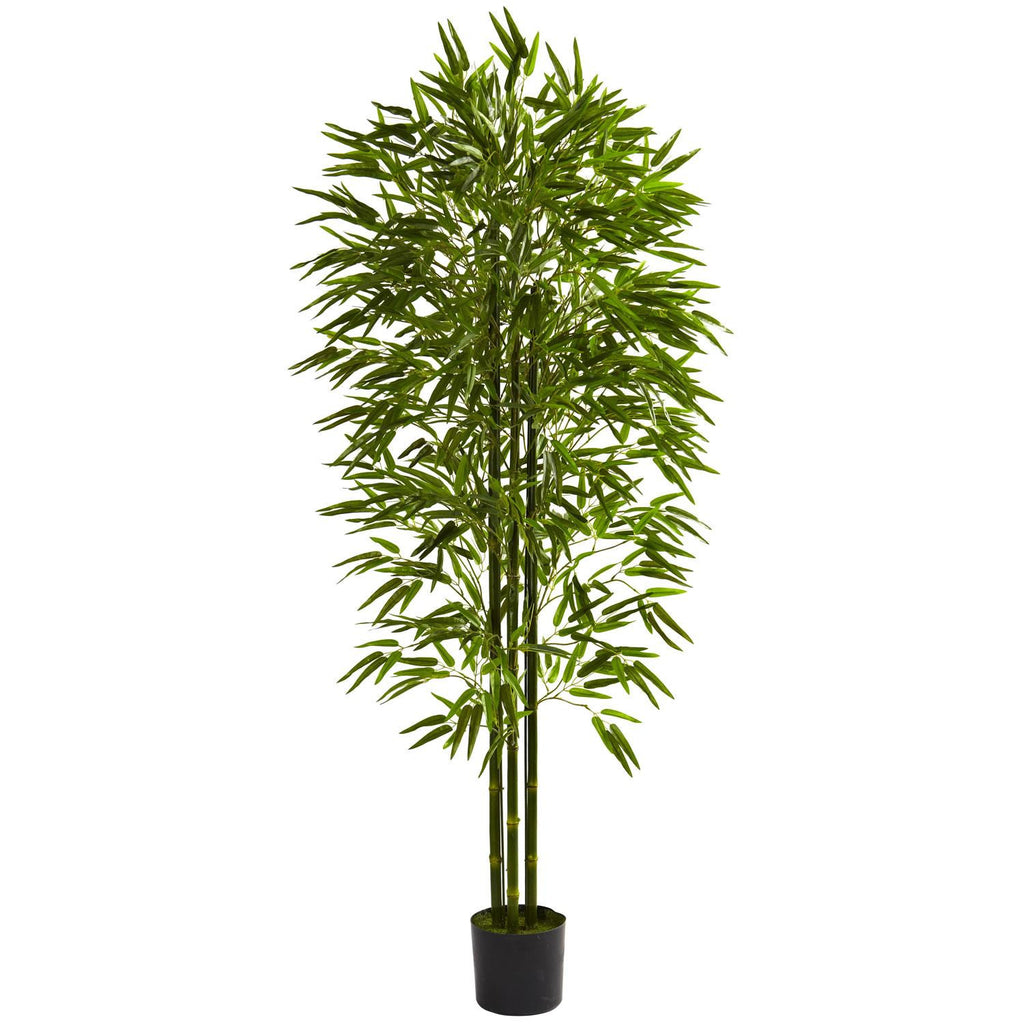 6' Bamboo Tree UV Resistant (Indoor-Outdoor)