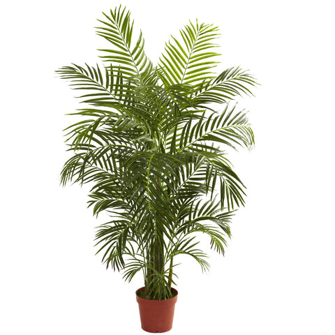 4.5' Areca Palm UV Resistant (Indoor-Outdoor)