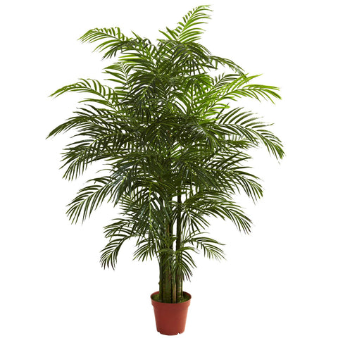 6.5' Areca Palm UV Resistant (Indoor-Outdoor)