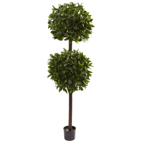 6' Sweet Bay Double Ball Topiary