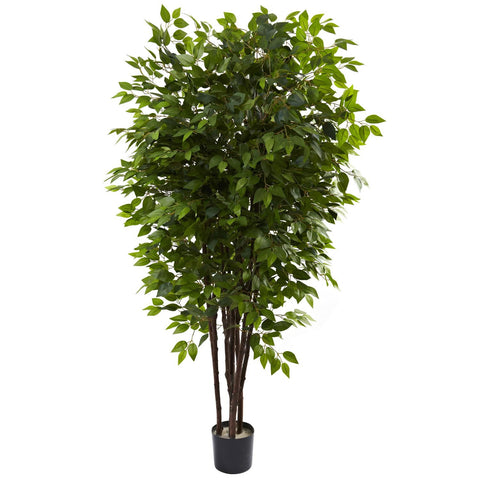 6.5' Deluxe Ficus Tree