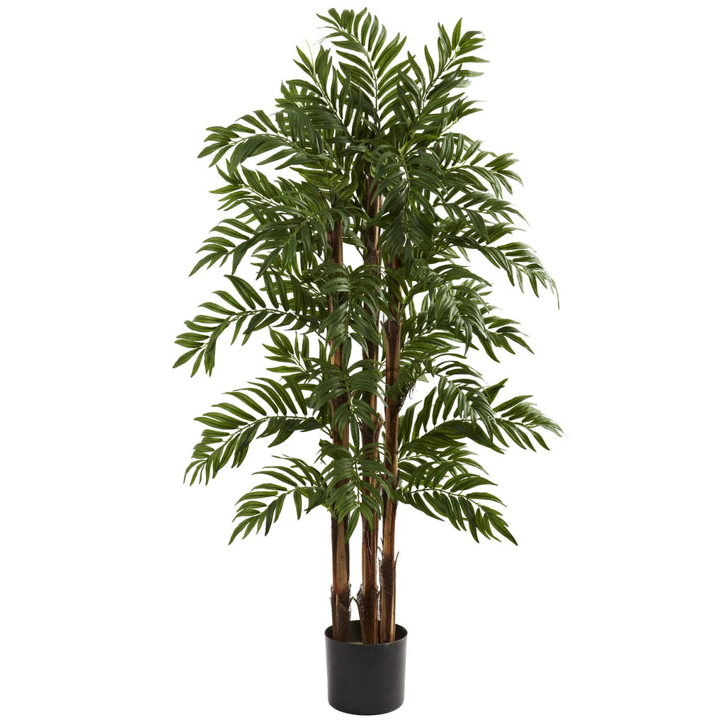 4' Parlour Palm Tree