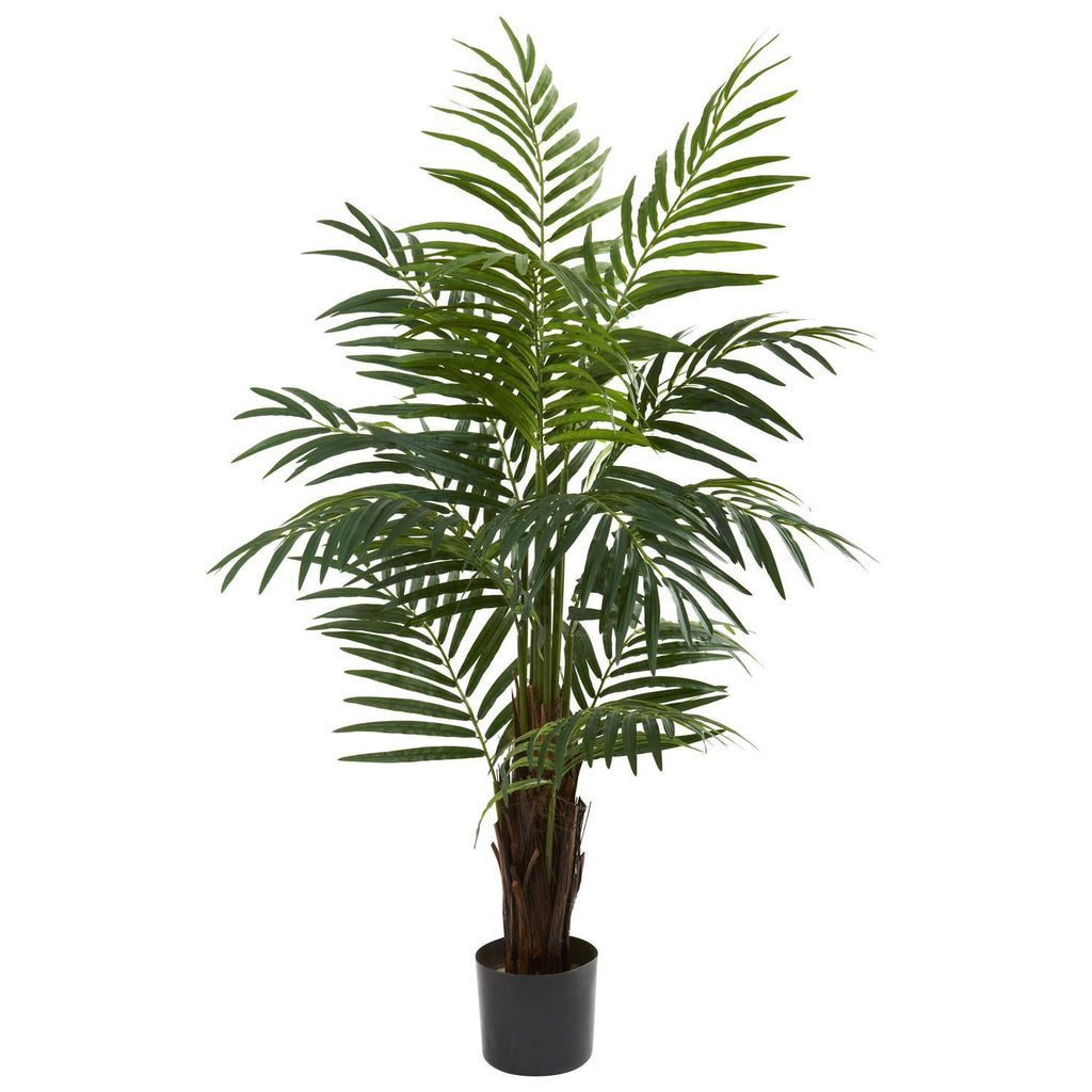 4' Areca Palm Tree