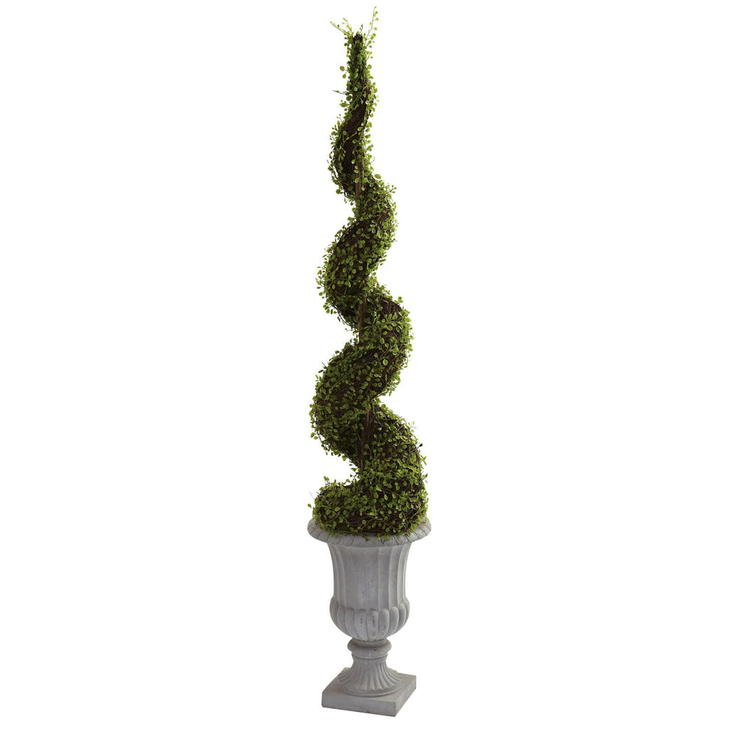 Mohlenbechia Spiral Tree w-Decorative Urn