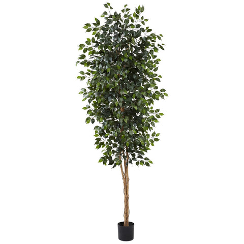 8' Ficus Tree w-1512 Lvs