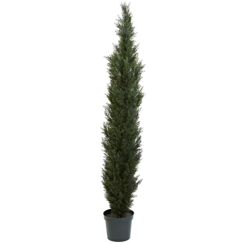 7' Mini Cedar Pine Tree w-3614 Tips in 12" Pot (Two Tone Green)