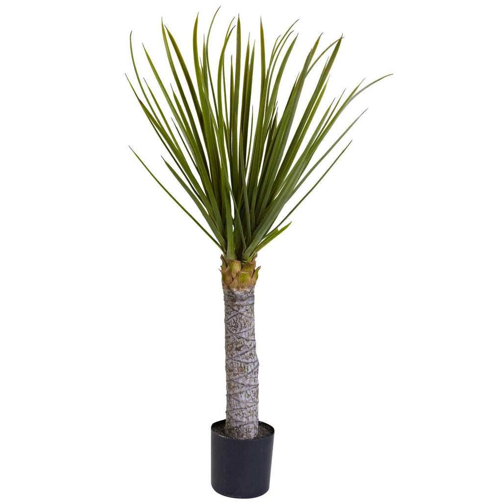 3' Yucca Tree w-699 Lvs