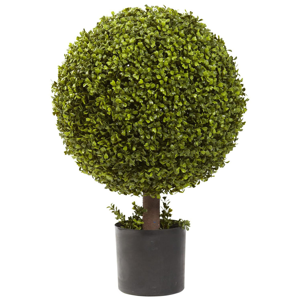 27" Boxwood Ball Topiary