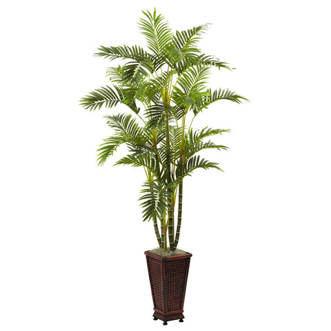 6.5' Areca w-Decorative Planter