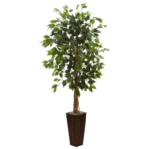 5.5' Ficus Tree w-Bamboo Planter