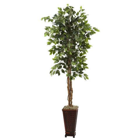 6.5' Ficus w-Decorative Planter