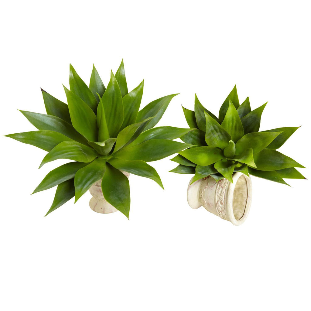 17" Agave Succulent Plant (Set of 2)