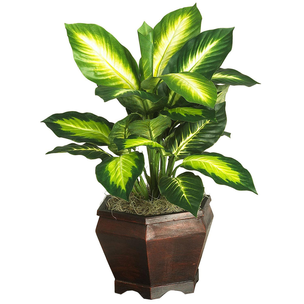 Golden Dieffenbachia w-Wood Vase Silk Plnat