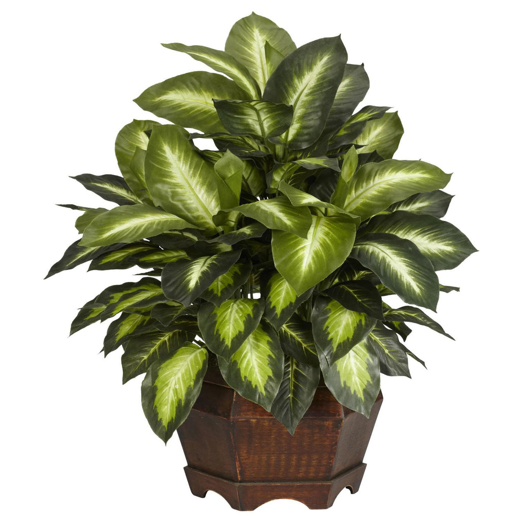 Golden Dieffenbachia Silk Plant