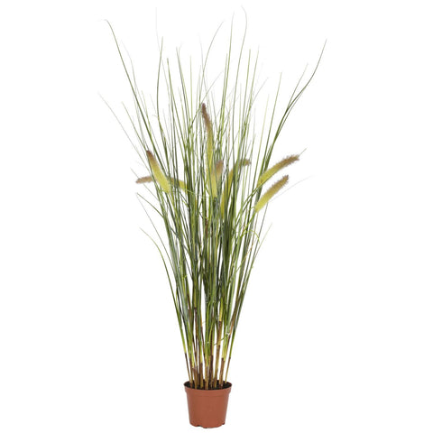 2.5' Grass Plant