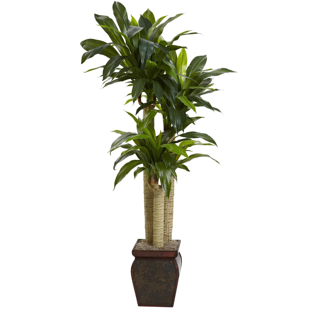 4.5' Cornstalk Draceana w-Vase (Real Touch)