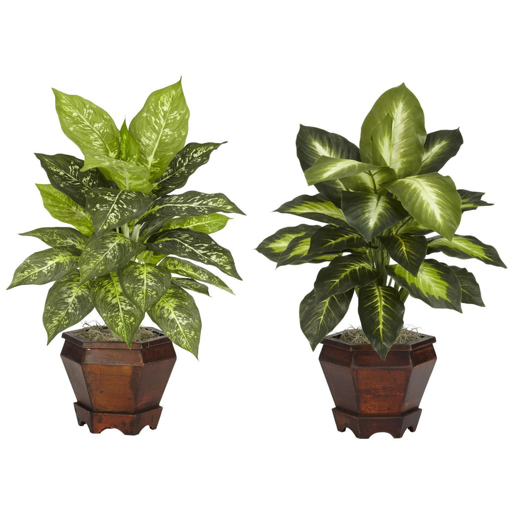 Dieffenbachia w-Wood Vase Silk Plant (Set of 2)