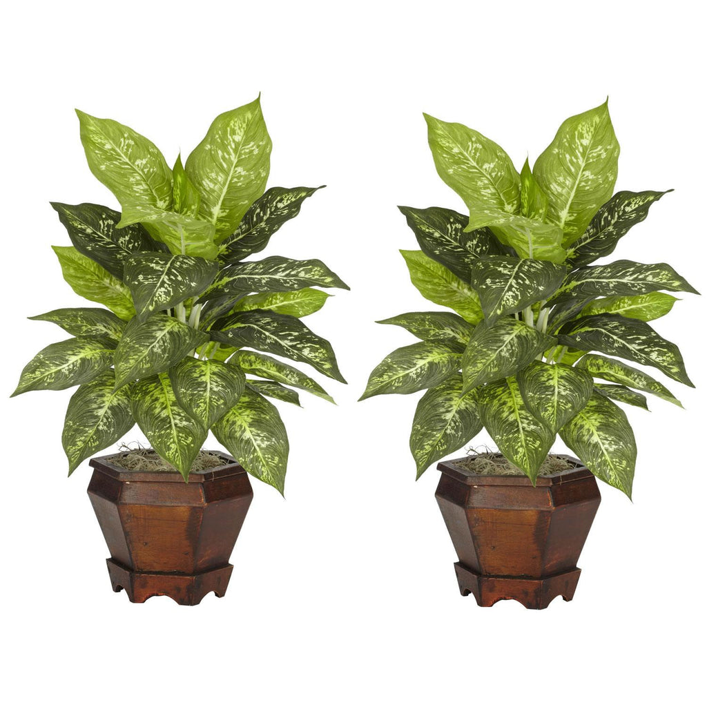 Dieffenbachia w-Wood Vase Silk Plant (Set of 2)