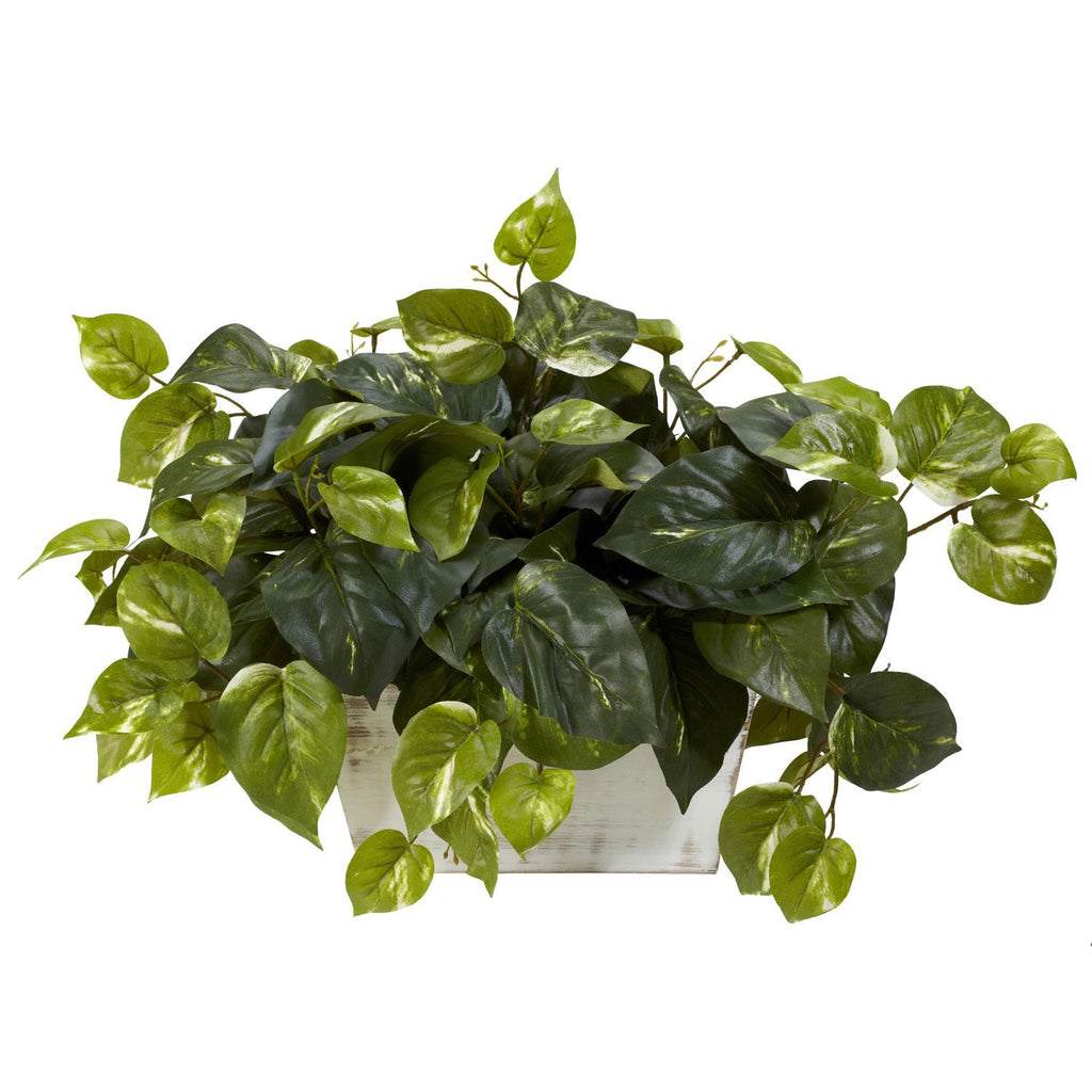 Pothos w-White Wash Planter Silk Plant