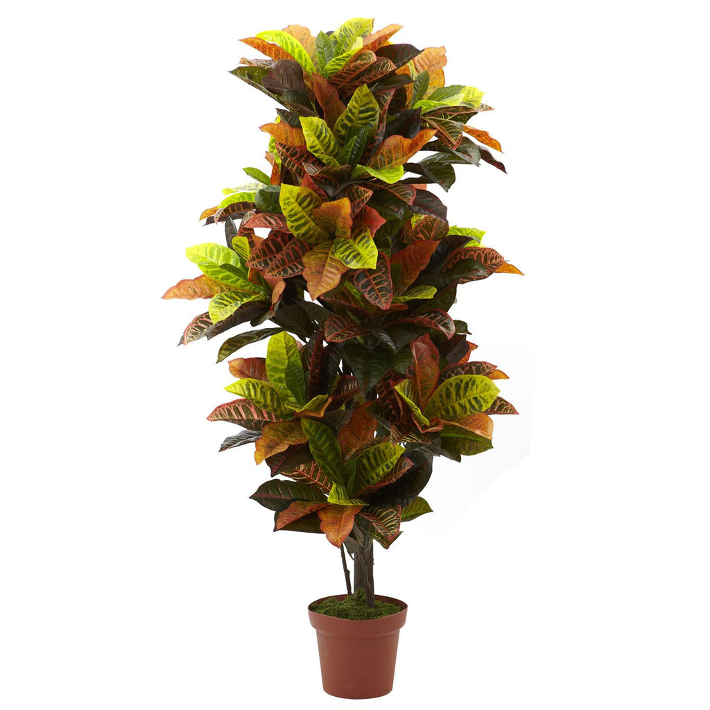 56" Croton Plant (Real Touch)