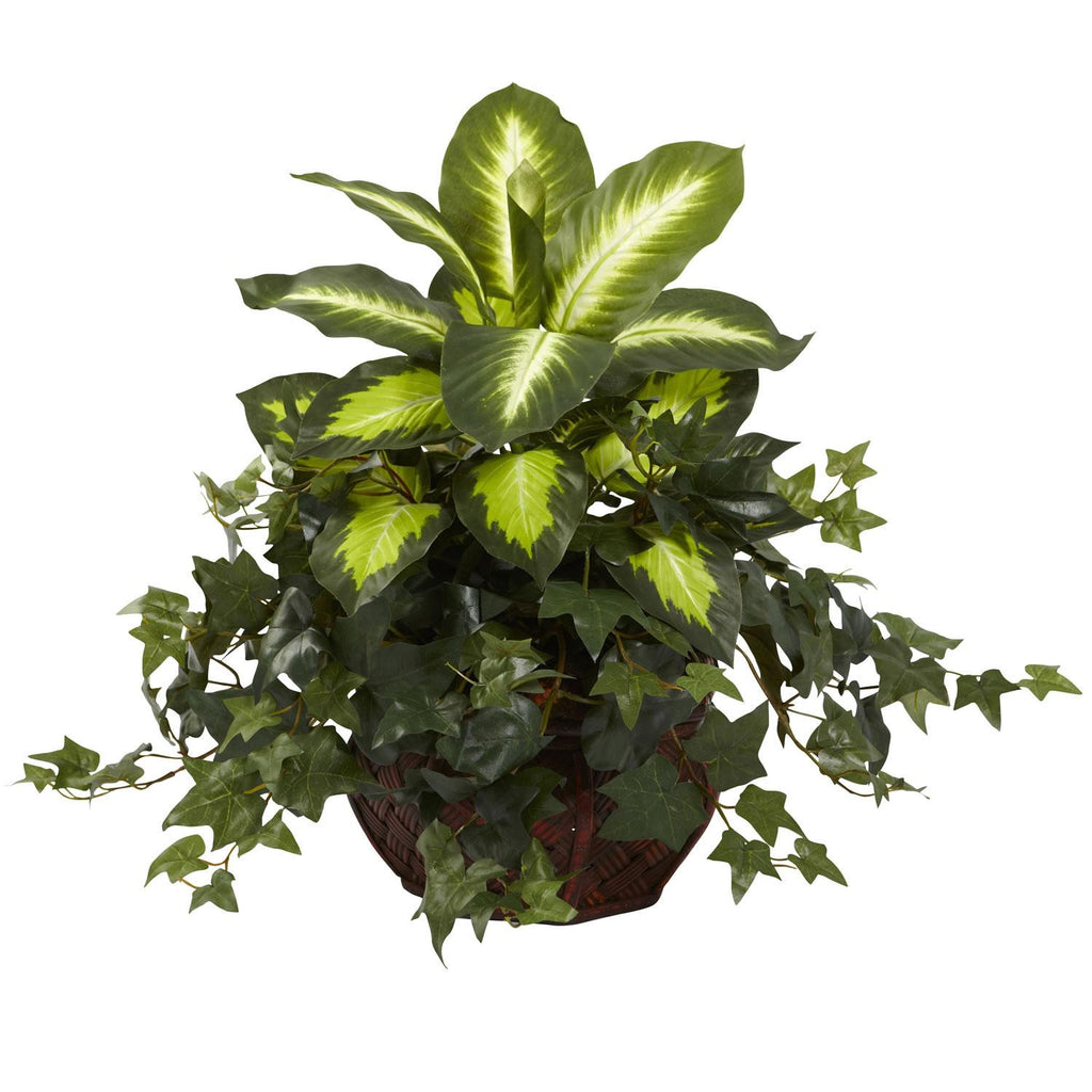 Dieffenbachia & Ivy w-Decorative Planter