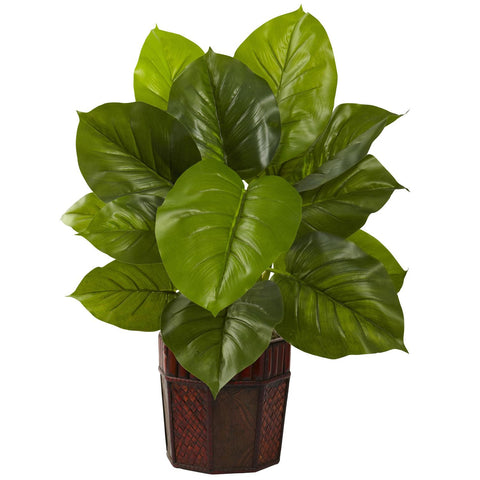 Large Leaf Philodendron w-Decorative Planter (Real Touch)