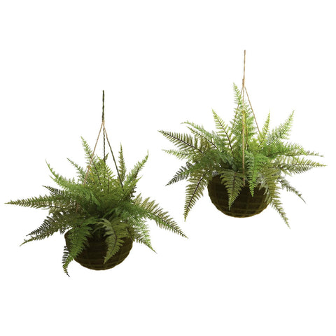 Leather Fern w-Mossy Hanging Basket (Indoor-Outdoor) (Set of 2)