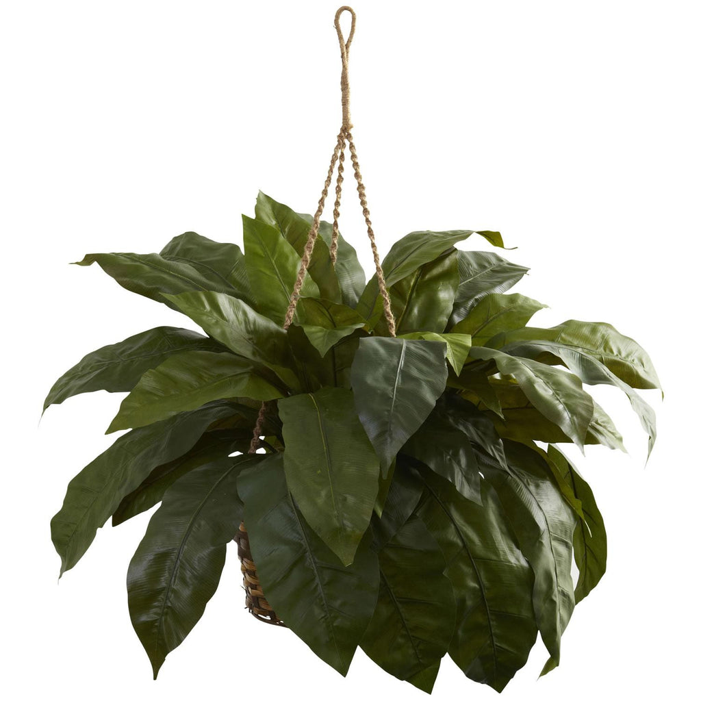 Double Giant Birdsnest Hanging Basket