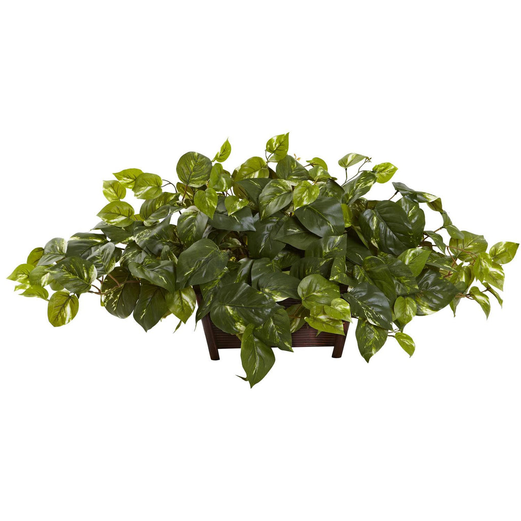 Pothos w-Rectangle Decorative Planter