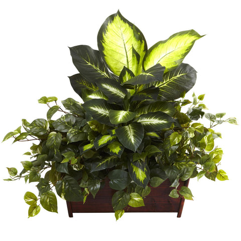 Golden Dieffenbachia, Philo & Pothos w-Wood Planter