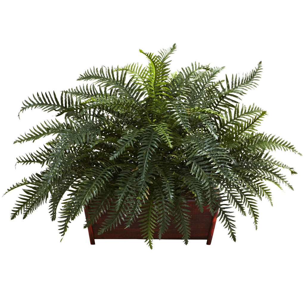 River Fern w-Wood Planter