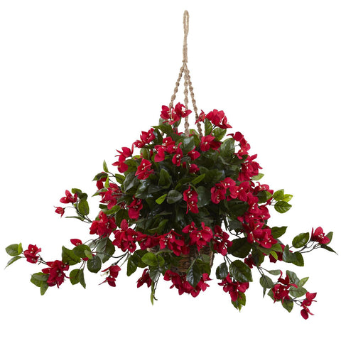 Bougainvillea Hanging Basket UV Resistant (Indoor-Outdoor)