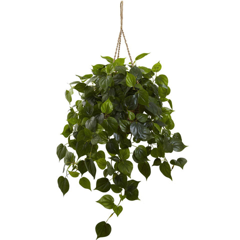 Philodendron Hanging Basket UV Resistant (Indoor-Outdoor)