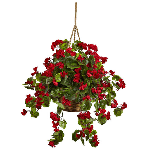 Geranium Hanging Basket UV Resistant (Indoor-Outdoor)